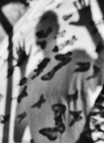 Processed with MOLDIV